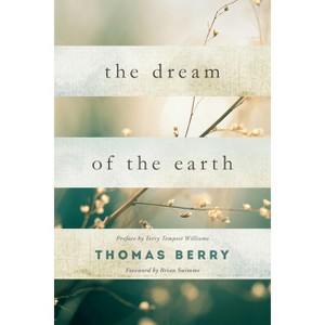 The Dream of the Earth - by  Thomas Berry (Paperback) - 1 of 1