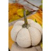 Gulches Series Multicolored Shatterproof Grid Pumpkin Harvest Festival Ornament - 3 of 4
