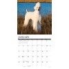 Willow Creek Press 2026 Poodles Wall Calendar - 3 of 4
