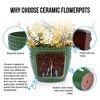 NAYSAYE Planter Set of 3 Ceramic Flowerpot Sleek Glossy Design Elegant Style for Indoor Outdoor Garden, Green, 15"*15"*12.6" - 4 of 4