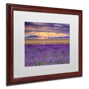 Trademark Fine Art -Michael Blanchette Photography 'Lavender Sunbeams' Matted Framed Art - 1 of 4