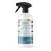 Therapy Clean Granite & Stone Cleaner & Polish - 16 fl oz - 2 of 4