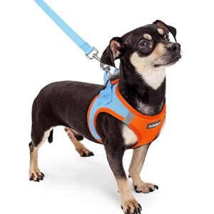 rabbitgoo Dog Harness Small Sized and Leash Set, Step in Soft Light Puppy Pet Harness, Reflective for Safe Easy Walking, Blue & Orange XXXS - 1 of 1