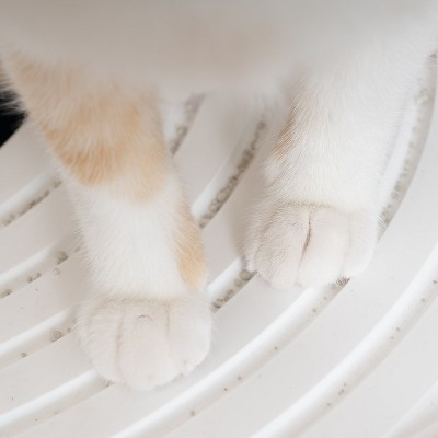 Navy and White Round Top Entry Cat Litter Box with Scoop