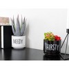 Esterno Needy and Thirsty Planter Pots, 2pc Set; Ceramic Funny Indoor Container Gardening Pots - 4 of 4