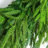Nearly Natural 24" Artificial Real Touch Norfolk Island Pine Wreath with Natural Look - 2 of 4