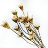 Alilang Decorative Dried Flower Stems for Home Decoration and Floral Arrangements, 15.5 Inches - 2 of 3