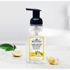 J.R. Watkins Lemon Foaming Hand Soap - 9 fl oz - 3 of 4