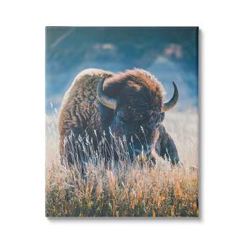 Stupell Industries Bison in Meadow Photography Canvas Wall Art