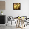 Stupell Industries Vintage Apples Close Up Framed Giclee Art - 3 of 4