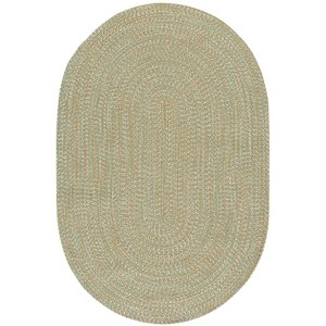 Braided BRA260  Machine Washable UV Resistant Stain Resistant Non-Shedding Hand Woven Indoor/Outdoor Rugs - Safavieh - 1 of 4