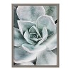 18" x 24" Blake Botanical Succulent Plants Printed Glass Framed Canvas by the Creative Bunch Studio Gray - Kate & Laurel All Things Decor: - 2 of 4