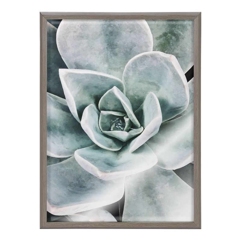 18&#34; x 24&#34; Blake Botanical Succulent Plants Printed Glass Framed Canvas by the Creative Bunch Studio Gray - Kate &#38; Laurel All Things Decor, 3 of 8