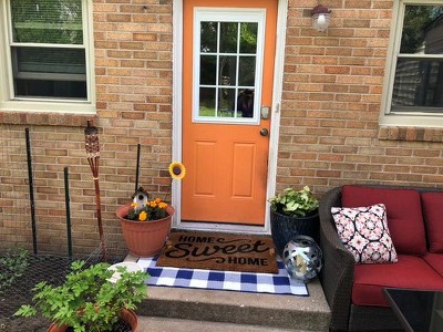 Debao Buffalo Plaid Outdoor Rug, 3x5 Blue and White Checkered Door