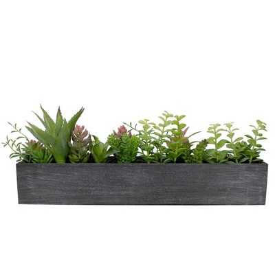 Northlight 23" Artificial Mixed Succulent Plants in a Rectangular Planter