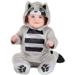 HalloweenCostumes.com Infant Cozy Raccoon Costume | Baby Animal Costumes for Halloween and Dress-Up Fun - 1 of 4