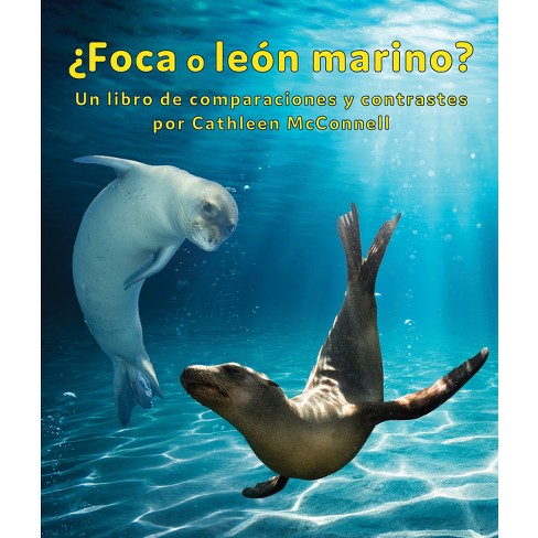 Foca