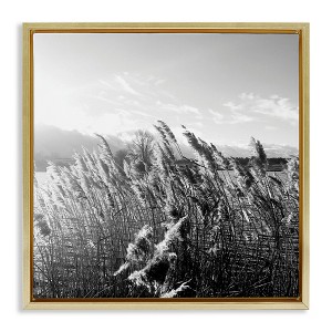 Stupell Industries Tall Grass Lake Water Landscape, 18" x 18" - 1 of 4