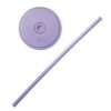 Simple Modern Classic 24oz Plastic Lidded Tumbler Smooth Purple Rain :  Target
