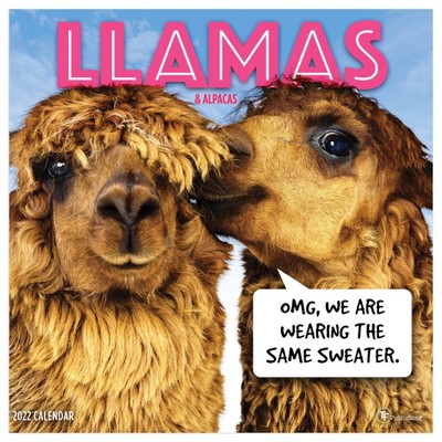 2022 Wall Calendar Llamas - The Time Factory