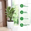 Nasitip 2PACK Square Planter Set, 20''Tall Planters with Built-in Drainage, Water Level Monitor, and Wheels for Easy Movement - 4 of 4