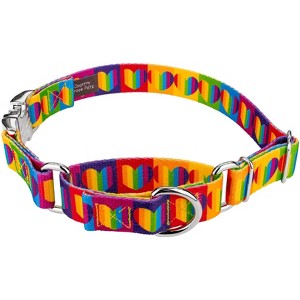 Country Brook Petz Rainbow Hearts Martingale with Premium Buckle Dog Collar (1 Inch, Medium) - 1 of 4