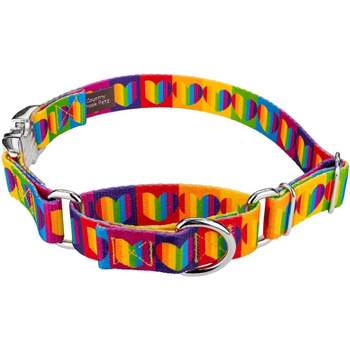 Country Brook Petz Rainbow Hearts Martingale with Premium Buckle Dog Collar