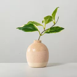 Faux Hoya Leaf Stem Potted Arrangement - Hearth & Hand™ with Magnolia