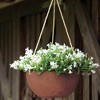 Root & Vessel Self Watering Plastic Hanging Planter - 2 of 2