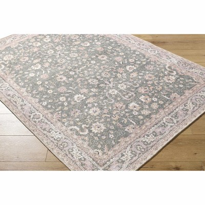 Hauteloom Alyson Living Room, Bedroom Machine Washable Area Rug - Traditional