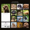 2026 Square Wall Calendar, Cockapoos, 16-Month Animals Theme with 180 Reminder Stickers (12x12 In) - 4 of 4
