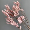 Alilang Decorative Dried Leafy Branches for Modern Home Decoration and Floral Arrangements, 15.5 Inches - 2 of 3