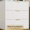 Nasitip 3 Drawer Dresser for Bedroom, Nightstand with Wide Top, Chest of Drawers for Closet with Deep Drawers, for Living Room, Hallway - 2 of 4