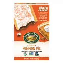 Natures Path Organic Pumpkin Pie Toaster Pastry - 6ct/11oz