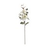 Magnolia Floral Spray (Set of 2) - 3 of 3