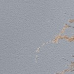 parchment