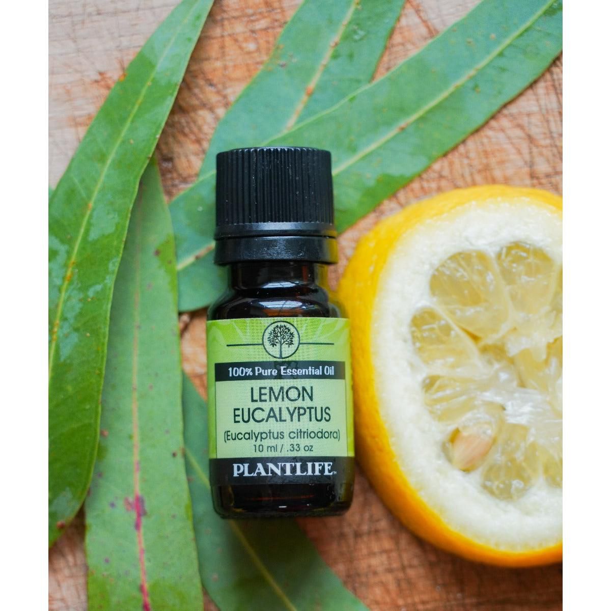 Plantlife Lemon Eucalyptus Essential Oil – 100% Pure & Therapeutic Grade – Natural, Undiluted, No Additives – 10ml Aromatherapy - thumbnail 3