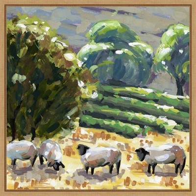 Sheep in Summer I Realism Art Canvas Print with Maple Frame