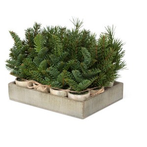 Park Hill Collection Evergreen Nursery Flat, 12 pots - 1 of 3