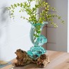 Evergreen Glass Shell Vase On Driftwood - 4 of 4
