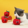 zeze Fruit Cat Chew Toy with Matatabi stick - 3 of 4
