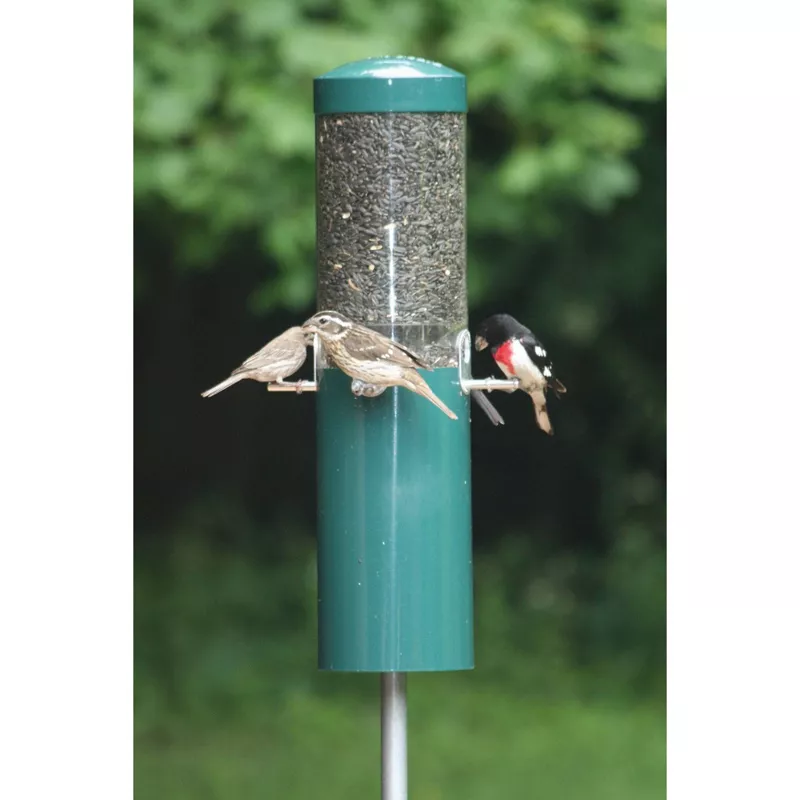 Comedero para pájaros para exteriores | Alimentador de semillas de aves  silvestres para mezclas de semillas – Comedero exterior para mezclas de