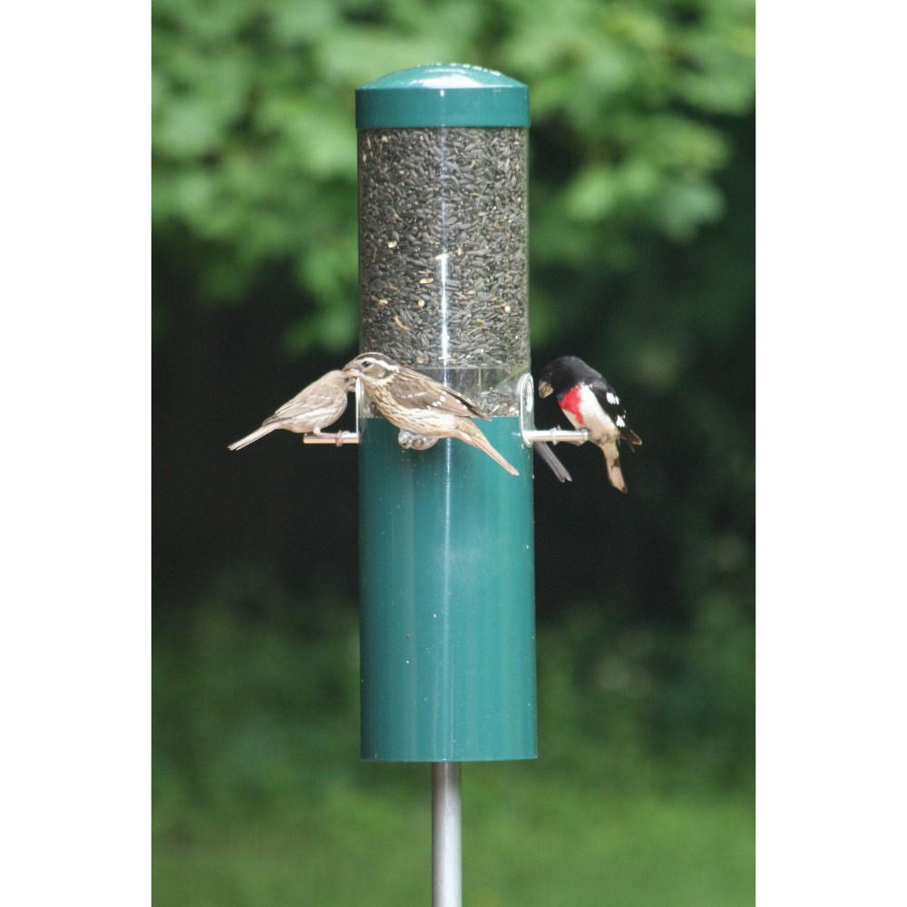 Birds Choice Squirrel Proof Classic Bird Feeder with Pole and Squirrel Baffle – Green: UV Resistant, Cast Aluminum Ports