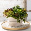 Sullivans Low Oval Planter Vase 5"H Off-White - image 4 of 4