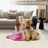 Acekool 5x7 Machine Washable Rug, Modern Non-Slip Minimalist Area Rug, Stain Resistant, Foldable Neutral Accent Carpet for Living Room, Black - 4 of 4