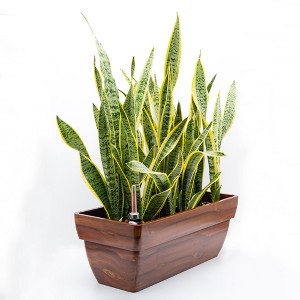 Maggift Planters Wood Plastic Rectangle Self Watering Planter Pot with Outdoor and Indoor, Vegetables and Herbs, Garden Decor, Brown 24"*11"*10.2" - 1 of 4