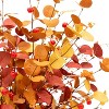 Attop 6 Pcs Aritificial Eucalyptus Stems Fall Decorations Leaves Spray Autumn Decorations with Fall Eucalyptus Branches - 4 of 4