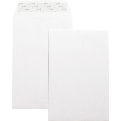 Business Source Catalog Envelopes Self Seal Plain 6"x9" 100/BX White Wove 42122