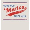 Americana Good Old 'Merica Since 1776 Adult Long Sleeve Hoodie - 2 of 2