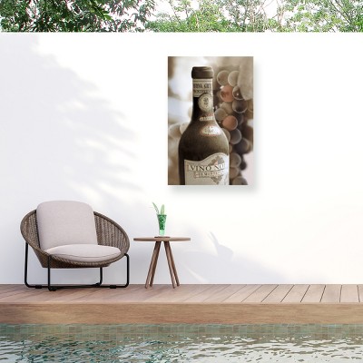 Trademark Fine Art - Alan Blaustein Montepulciano Vineyard #1 Matted Framed Art